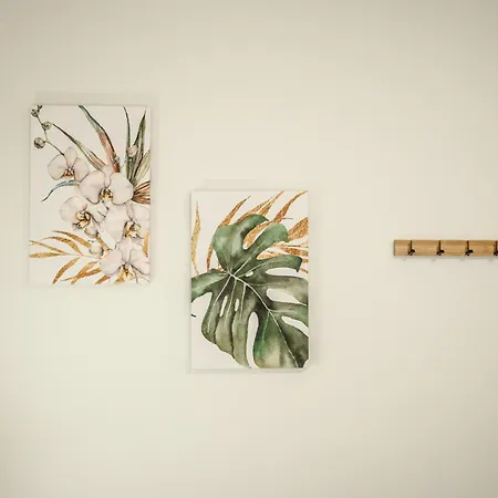 College Apartment *